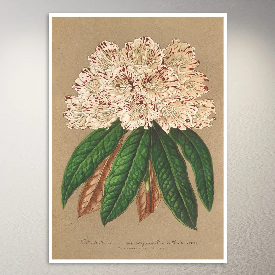 Blumen-Poster | Botanik-Poster