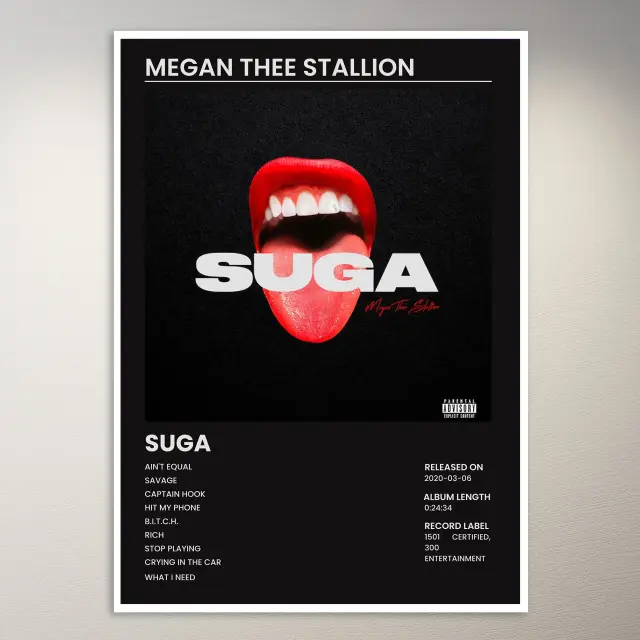 Megan Thee Stallion Poster