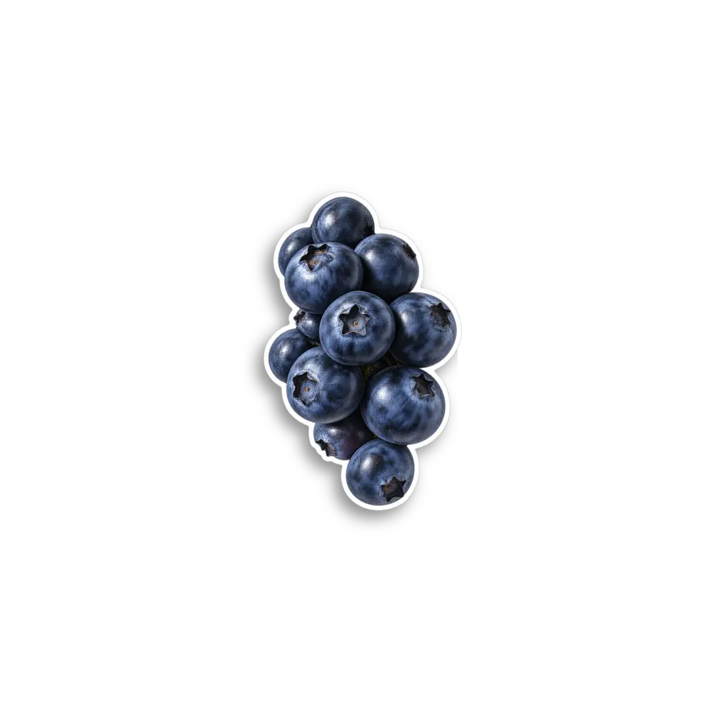 Blaubeeren-Sticker