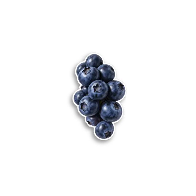 Blaubeeren-Sticker