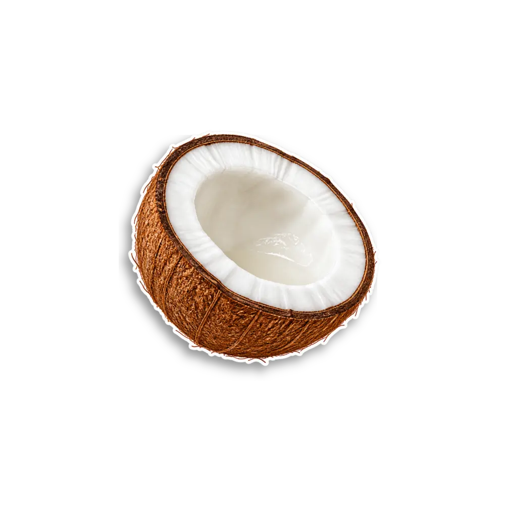 Coconut Half Sticker
