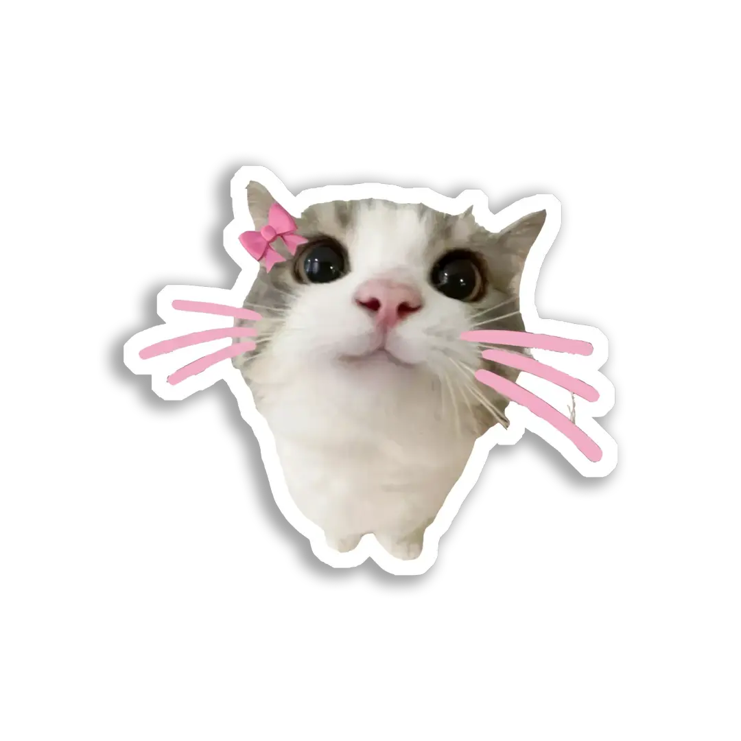 Cute Cat With a Pink Bow Sticker