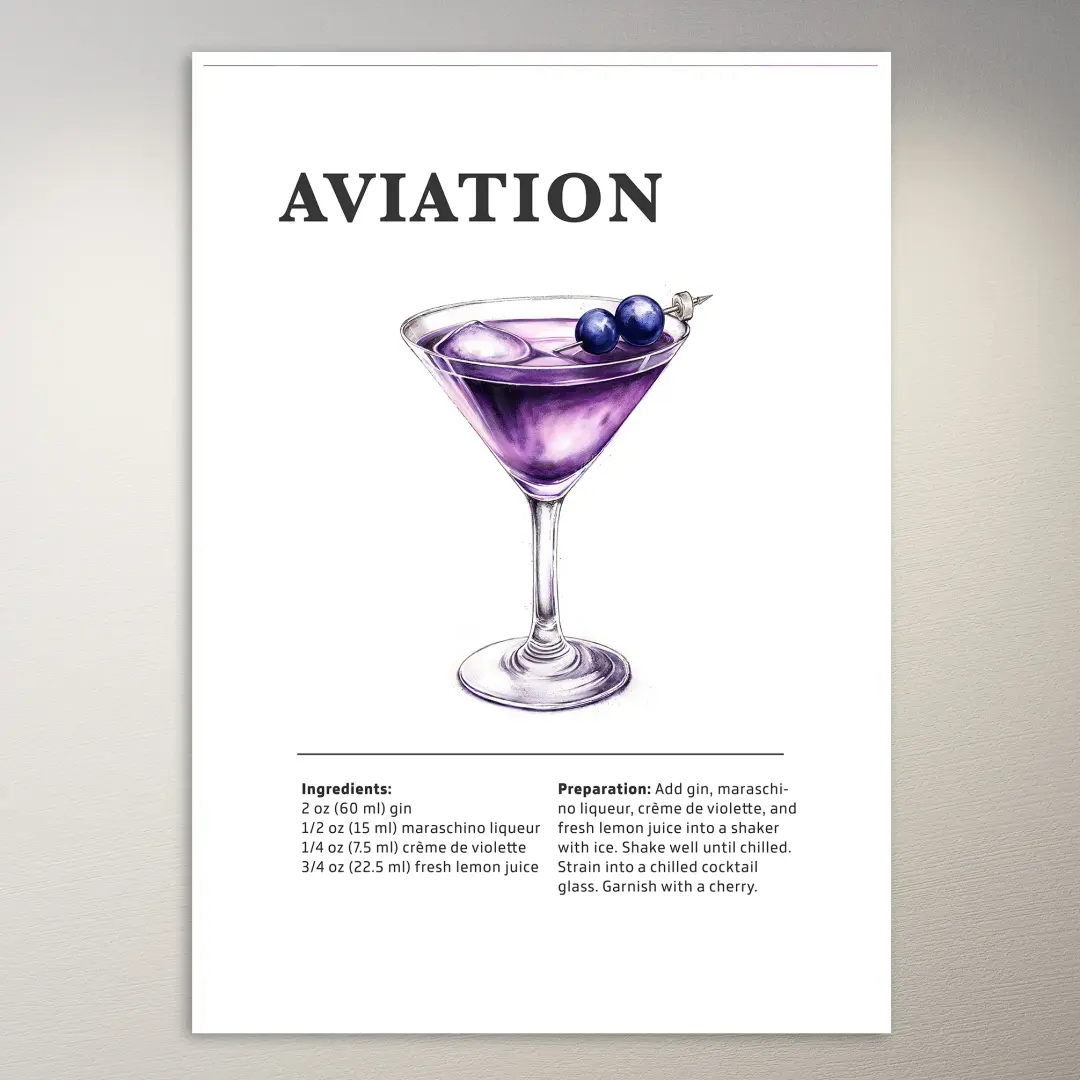 Aviation Poster
