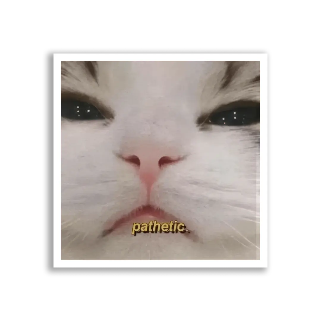 Pathetic Cat Close-Up Sticker
