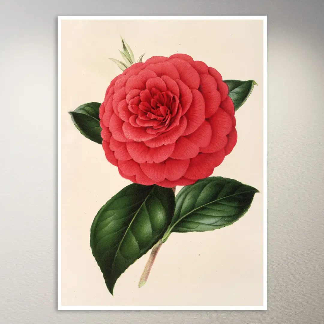 Póster de flores | Póster botánico