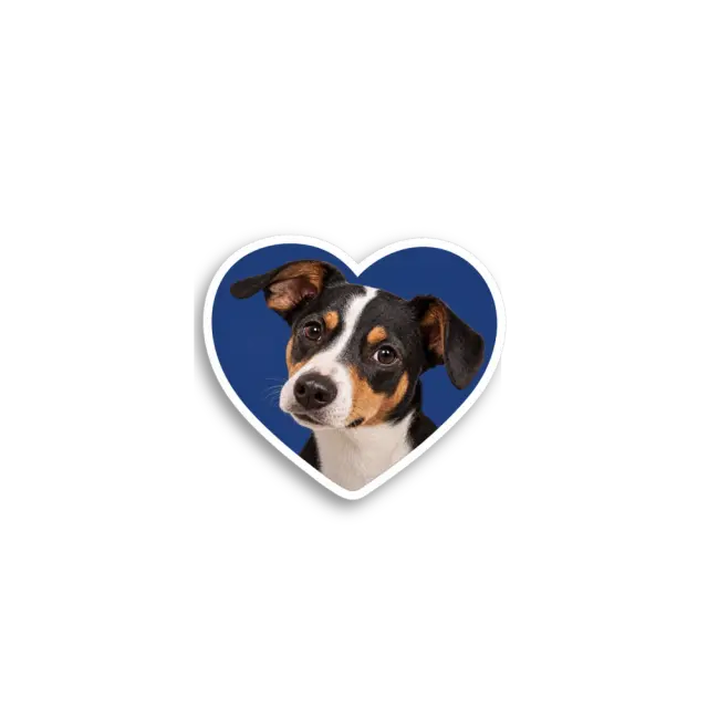 Blauer Herz-Hund Sticker