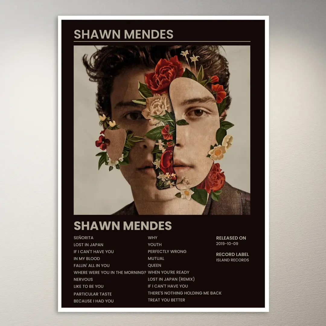 Shawn Mendes 海報