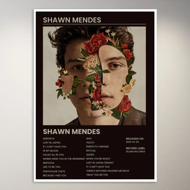 Shawn Mendes Poster