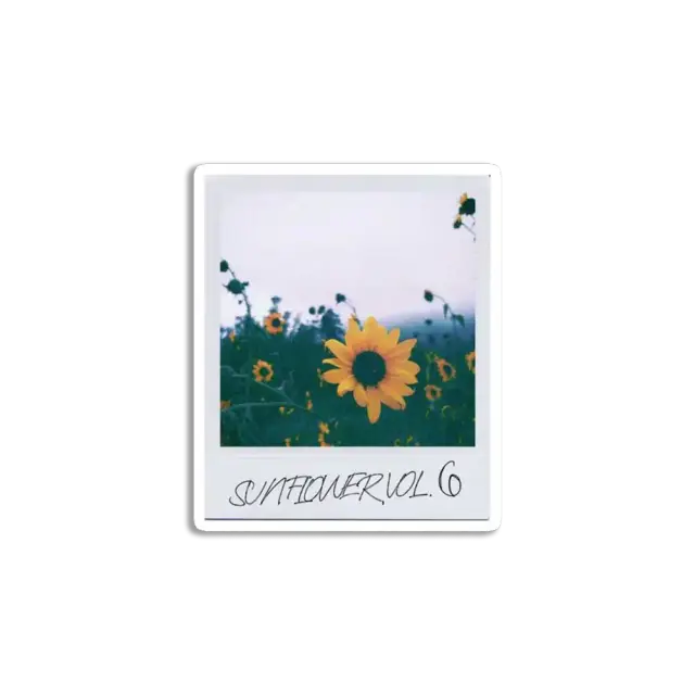 Sonnenblumen-Polaroid Sticker