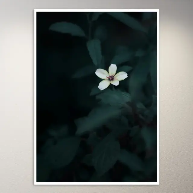 Aesthetic Flower Poster
