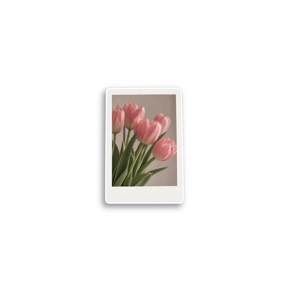 Rosa Tulpen-Foto Sticker