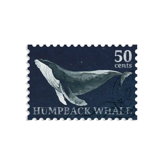 Whale Stamp Sticker
