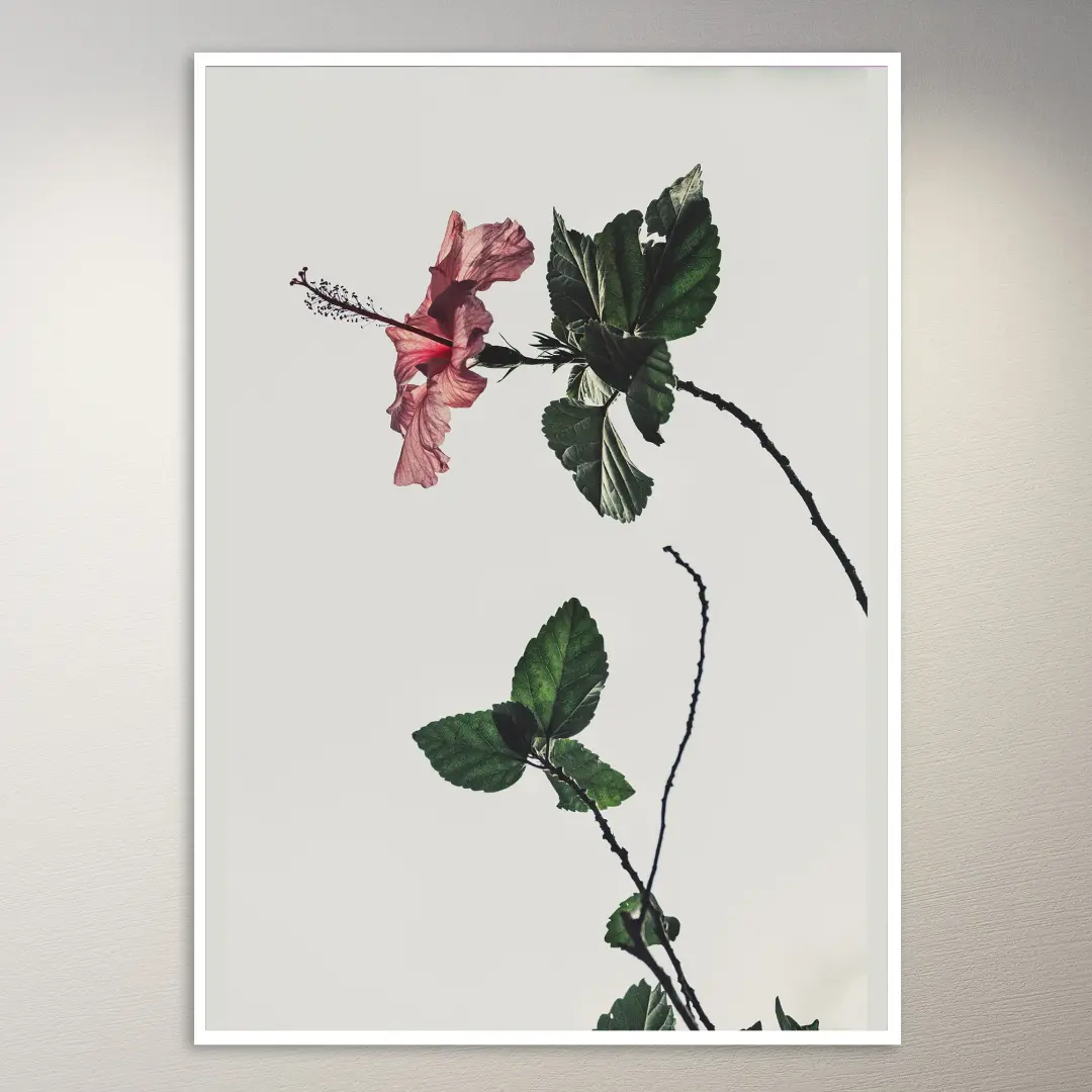 Póster de flor roja