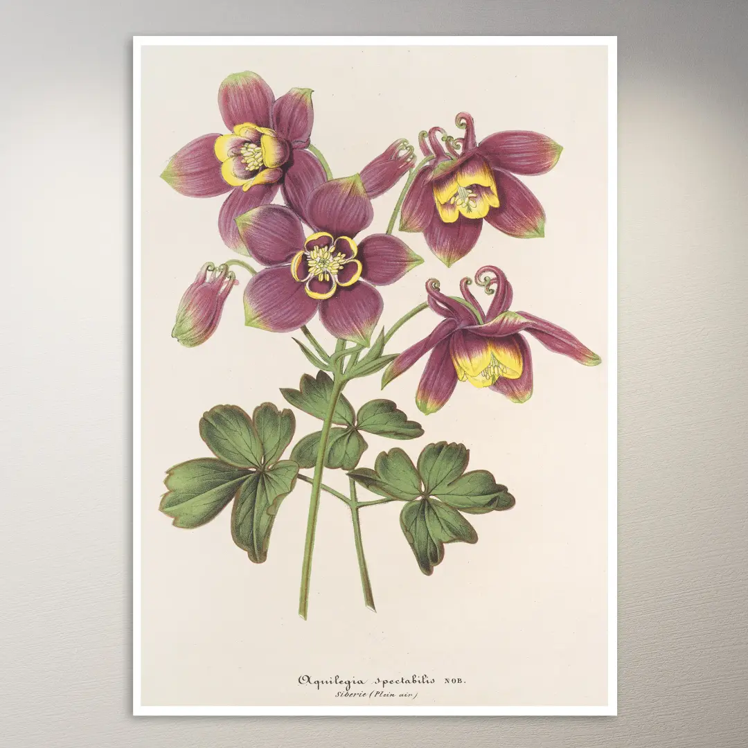 Blumen-Poster | Botanik-Poster