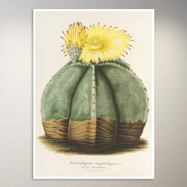 Blumen-Poster | Botanik-Poster