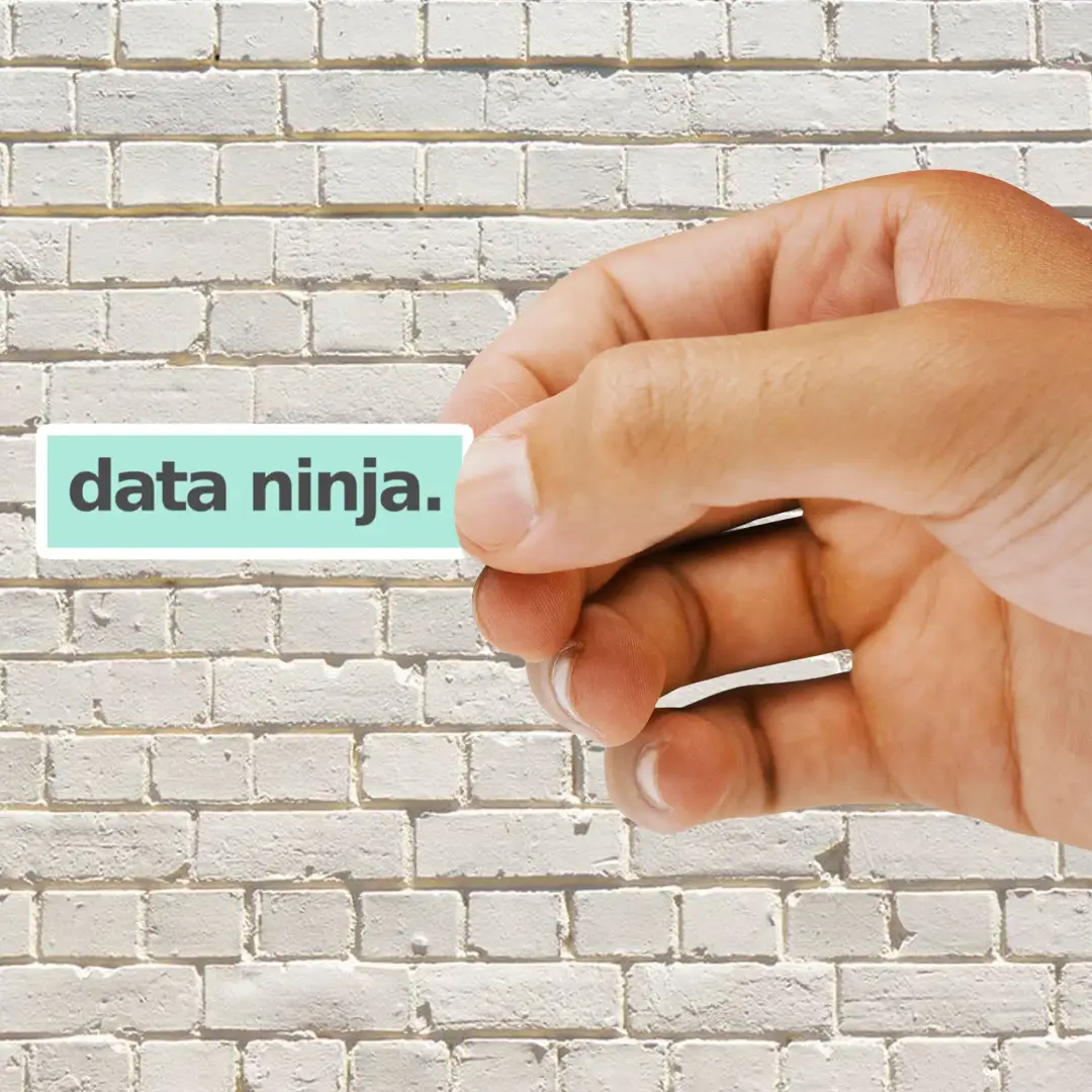 Data Ninja Sticker