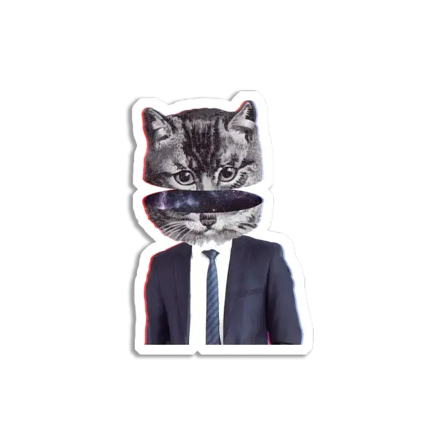 Trippy Cat Sticker