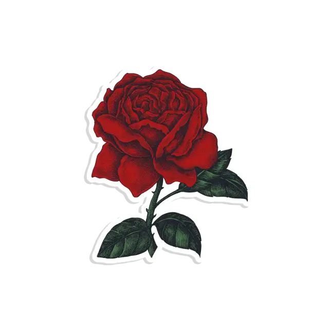 Oil Painting Rose Sticker