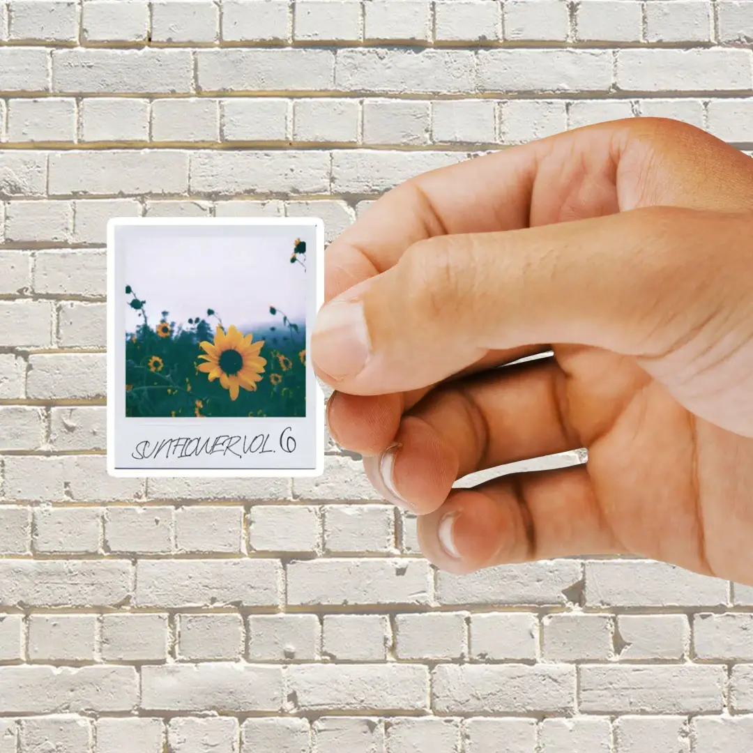 Sonnenblumen-Polaroid Sticker
